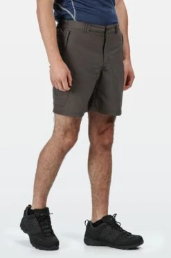 Regatta Grey Leesville II Lightweight Shorts