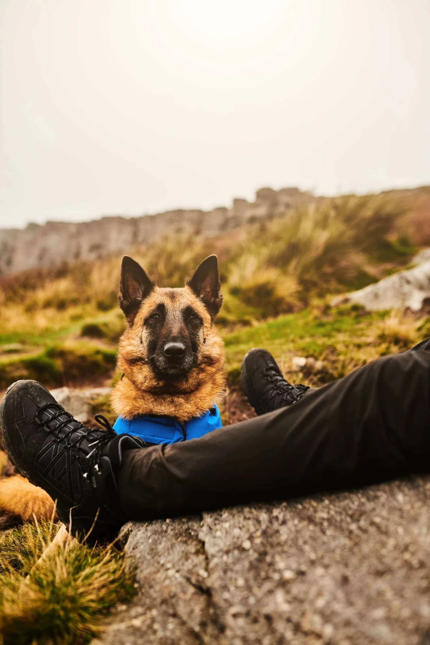 Regatta Black Samaris Mid II Waterproof Walking Boots - Image 7