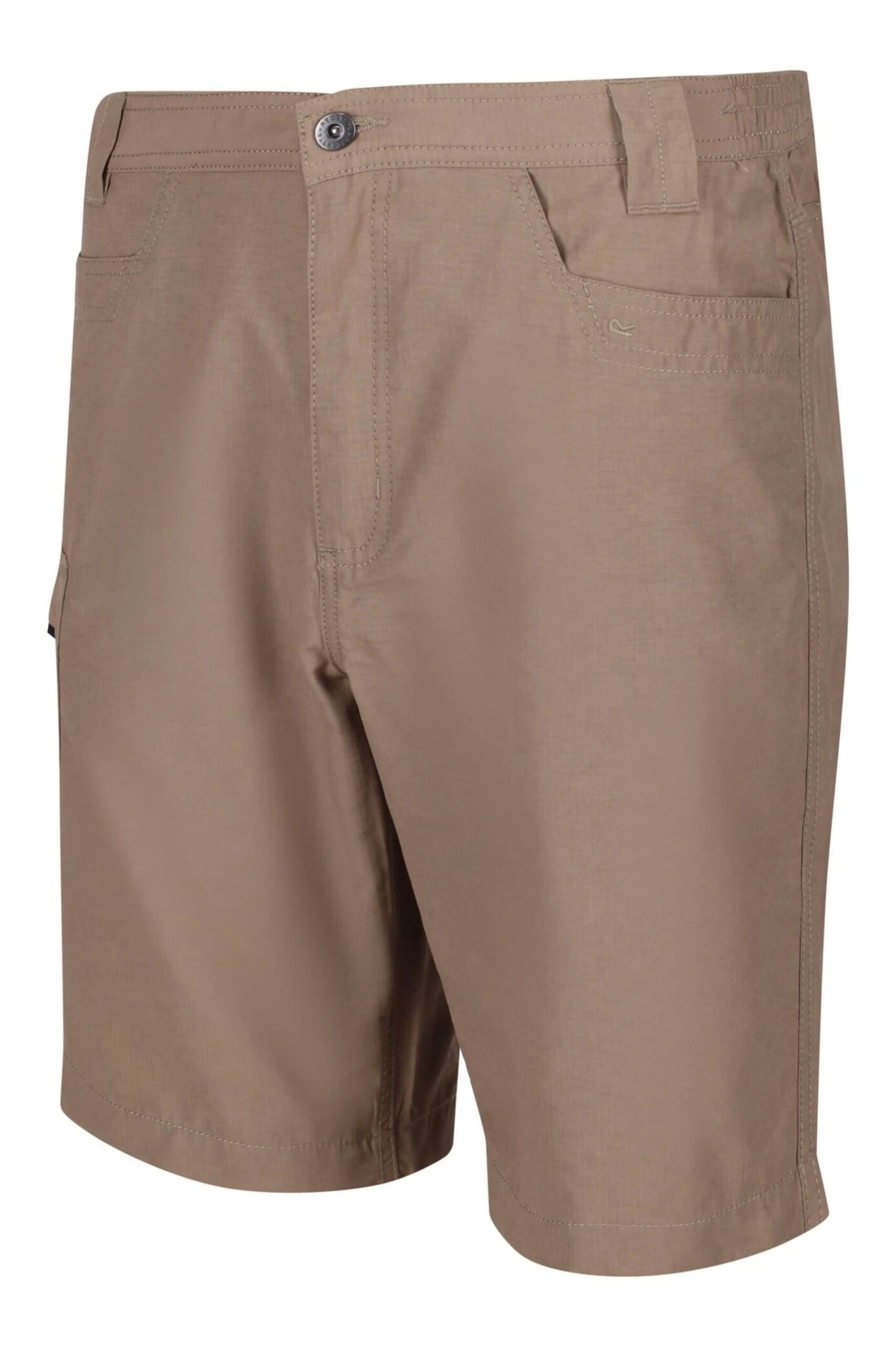 Regatta Brown Delgado Shorts - Image 3