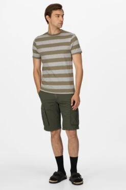 Regatta Green Ryeden Striped T-Shirt