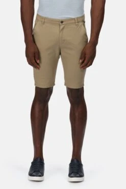 Regatta Brown Sandros Shorts