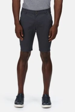 Regatta Grey Sandros Shorts